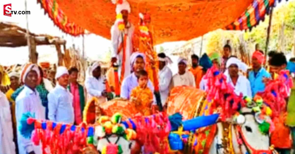 ఎడ్లబండి కట్నంగా ఇచ్చిన మామ! అల్లుడి రియాక్షన్ కి అందరూ షాక్..