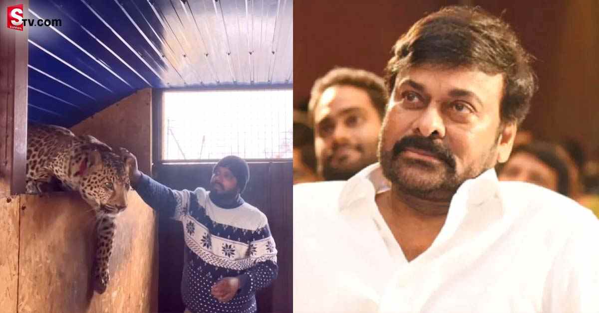 ఉక్రెయిన్‌లోని వైద్యుడి కోసం మెగాస్టార్ చిరంజీవి ట్వీట్‌!