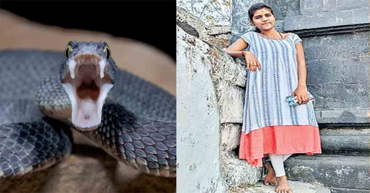 పగ బట్టిన పాములు!.. ఏడు నెలల్లో మూడుసార్లు.. బ్యాగులో మృత్యువు..