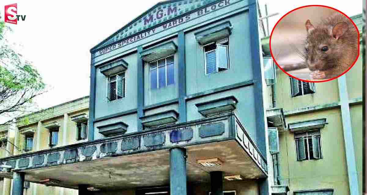 వరంగల్ ఎంజీఎంలో దారుణం.. రోగి కాలు, చేతి వేళ్లను కొరికిన ఎలుకలు!