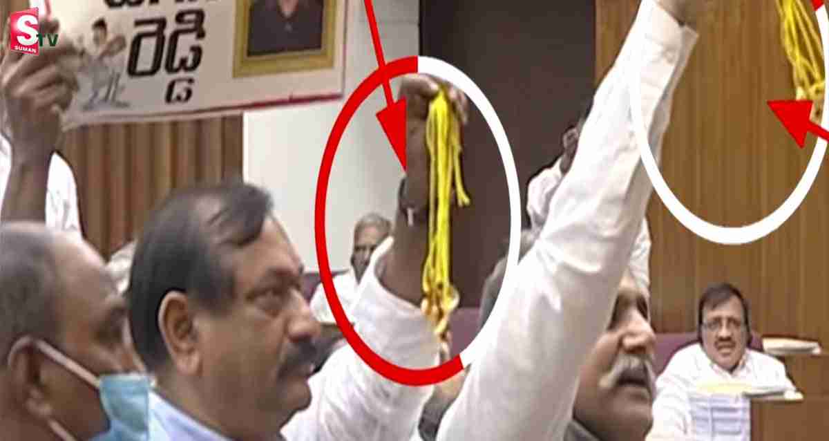అసెంబ్లీలో తాళి బొట్లతో టీడీపీ సభ్యుల నిరసన!