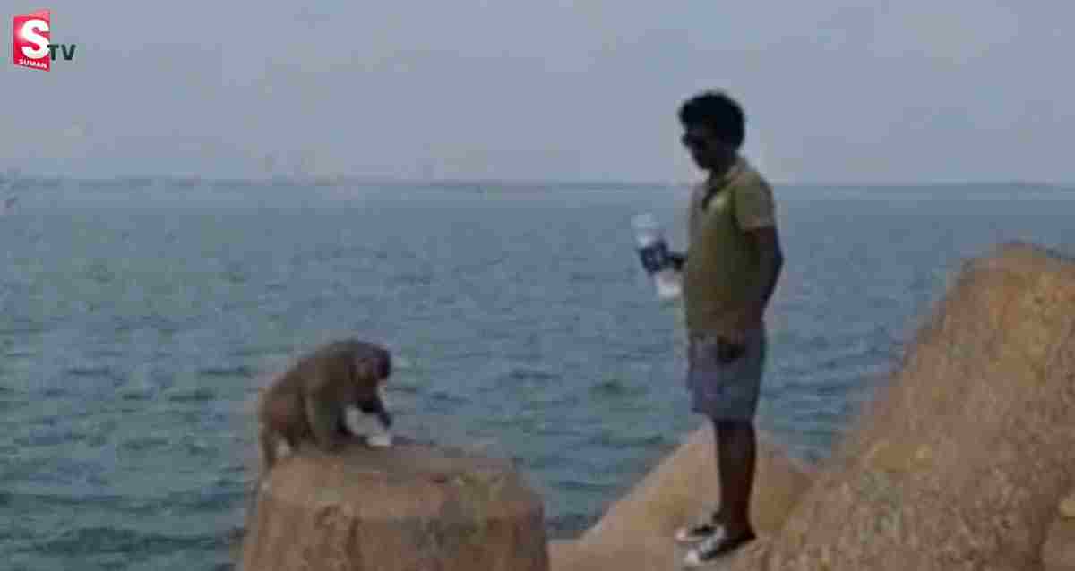 పాపం మూడు నెలలుగా నడి సంద్రంలో వానరం.. చివరికి..