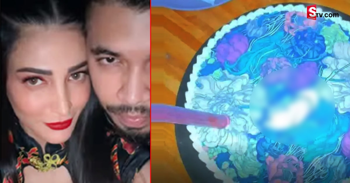 Shruti Haasan: బాయ్ ఫ్రెండ్ బర్త్ డే కి బూతు కేక్! శృతిహాసన్ పైత్యంపై విమర్శలు!