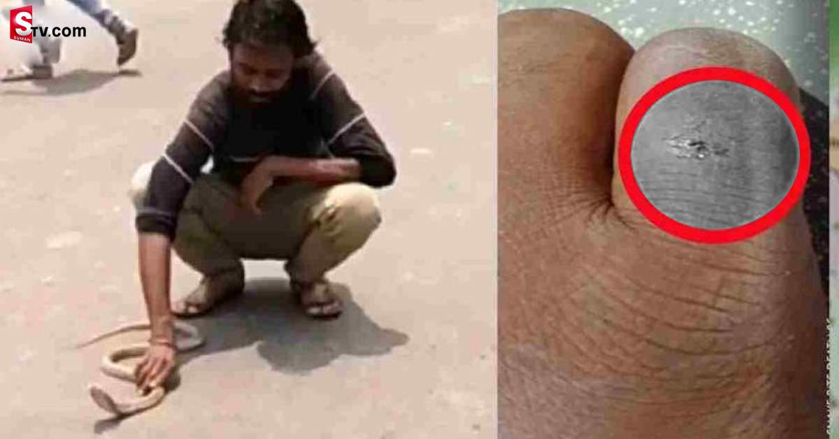 పాములను కాపాడిన స్నేక్ క్యాచర్.. పాముకాటుతోనే..