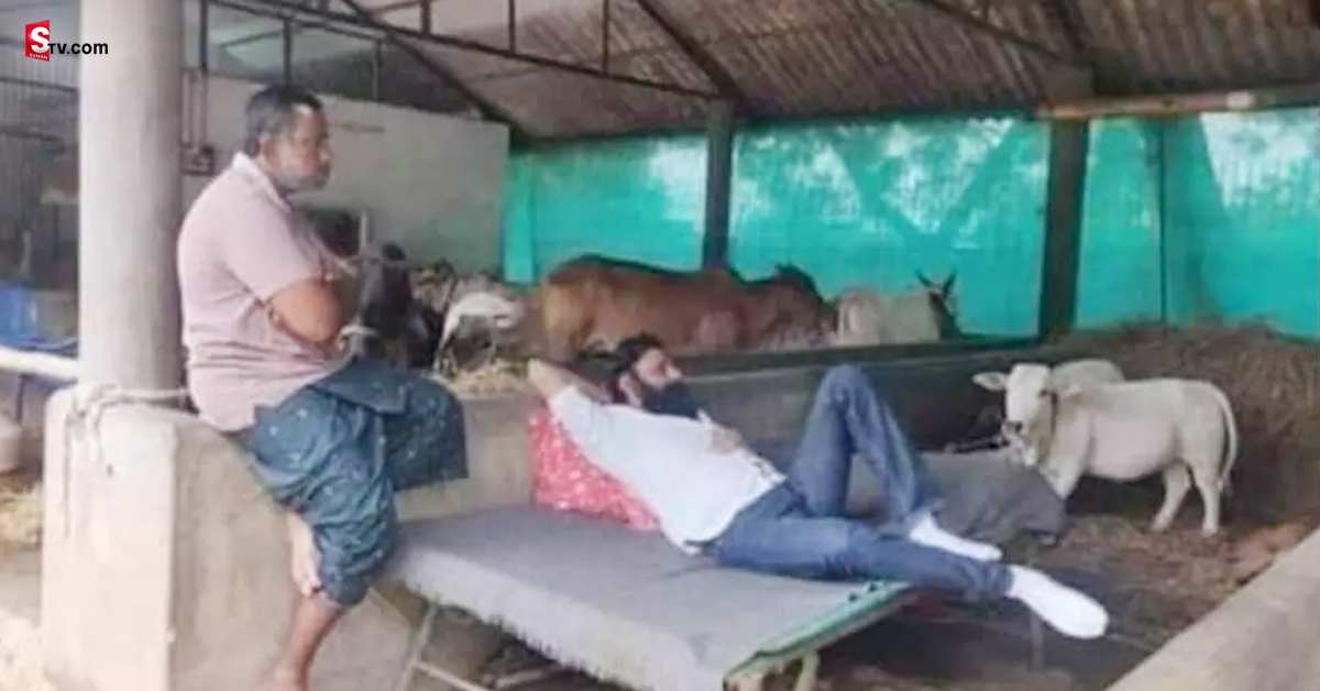 మాజీ మంత్రి కొడాలి నానికి ఏమైంది.. గోశాలలో పడుకోవడం ఏంటి!