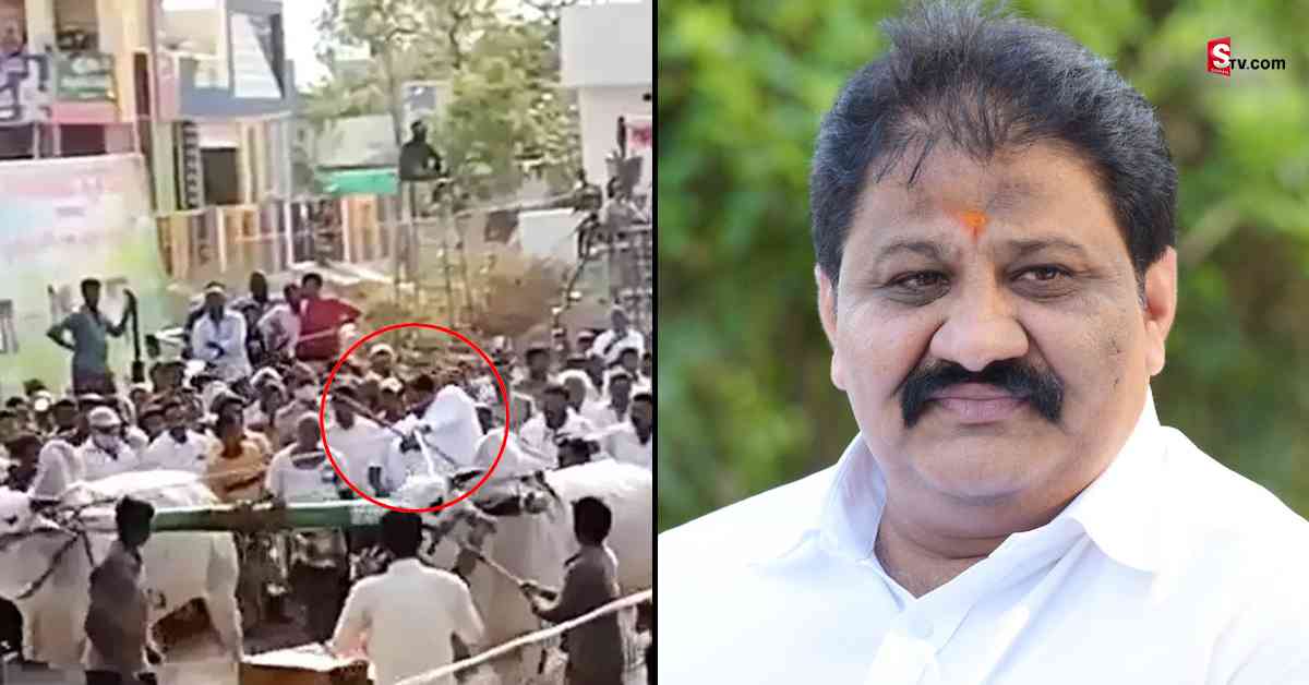 ఎడ్ల పందాల్లో అపశృతి.. కిందపడ్డ వైసీపీ MLA!