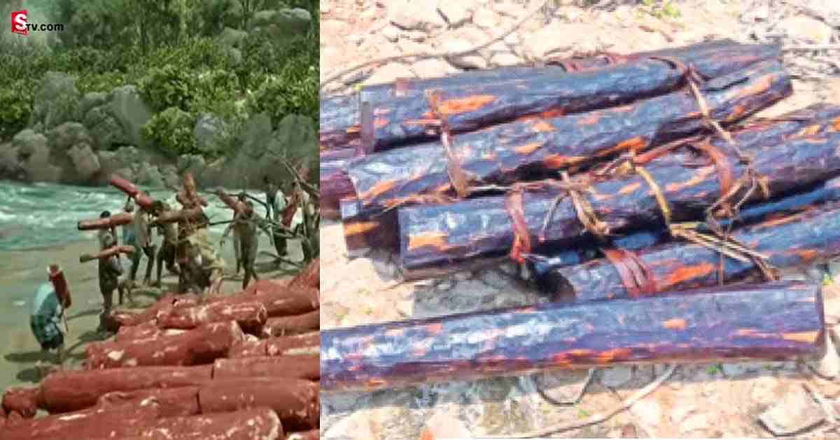 పుష్ప సినిమా రియల్‌ సీన్‌!