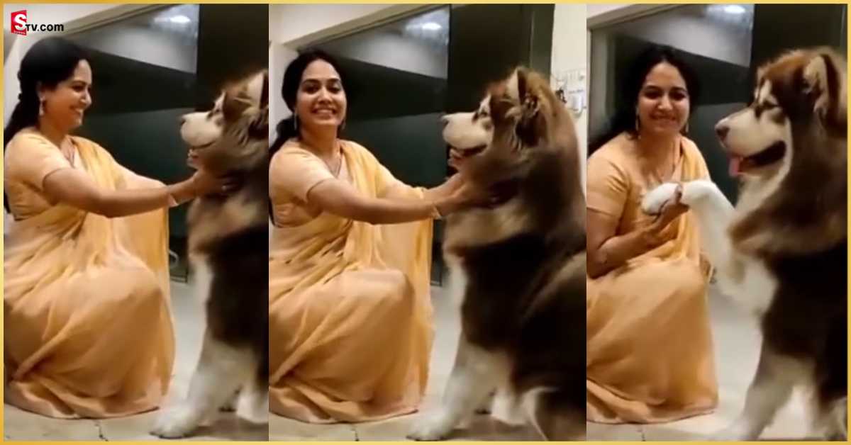 పెంపుడు కుక్కతో సింగర్ సునీత ఆటలు.. వీడియో వైరల్!