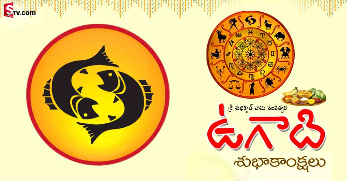 శ్రీ శుభకృత్ నామ సంవత్సరంలో మీనరాశి వారి పంచాంగం ఎలా ఉండబోతుందంటే..!