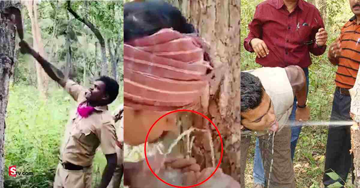 అద్భుతం: చెట్టులో నుండి ధారళంగా నీరు..వీడియో వైరల్!