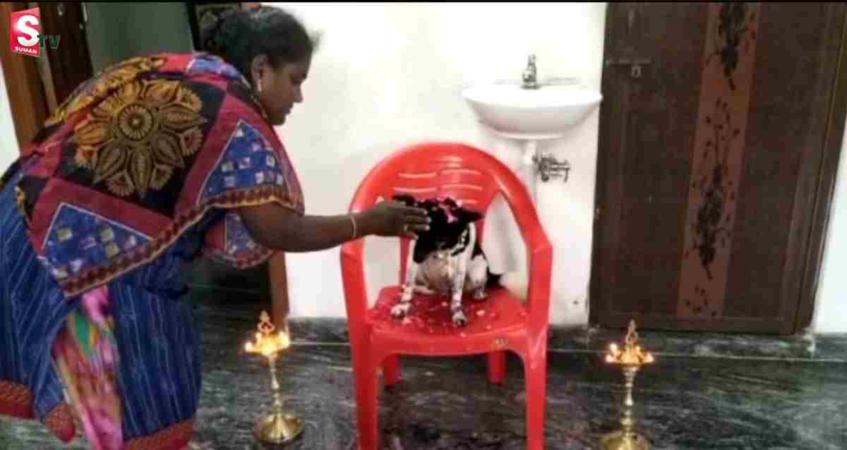 పెంపుడు కుక్కకు ఘనంగా సీమంతం