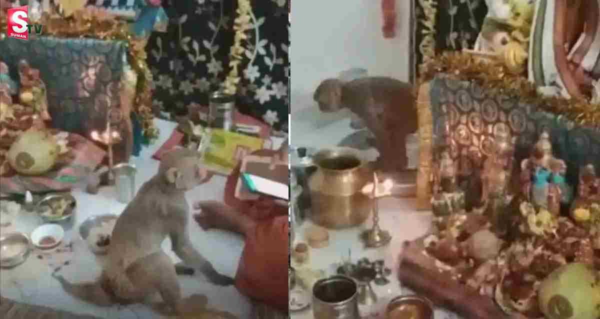శ్రీరామనవమి వేడుకల్లో ప్రత్యక్షమైన వానరం.. సాక్షాత్తు హనుమంతుడే అంటూ..