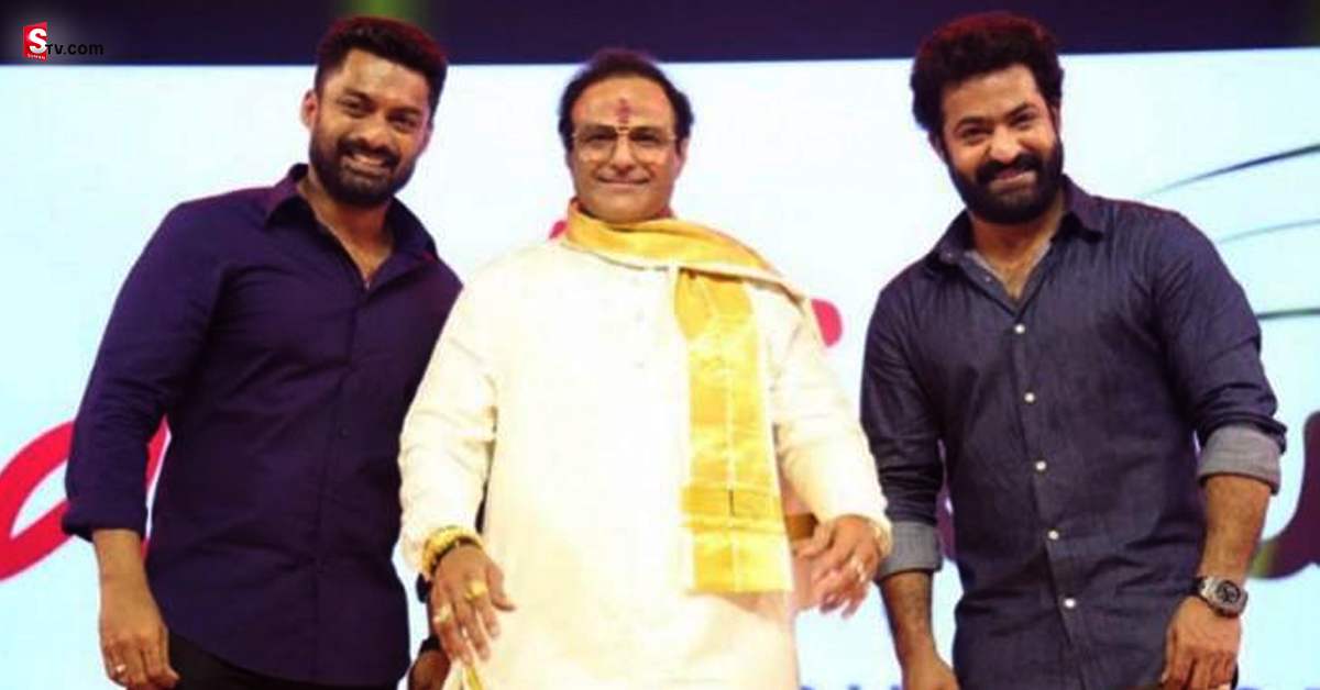 నందమూరి మల్టీస్టారర్ కు రంగం సిద్ధం! స్టార్ డైరెక్టర్ మాస్టర్ ప్లాన్!