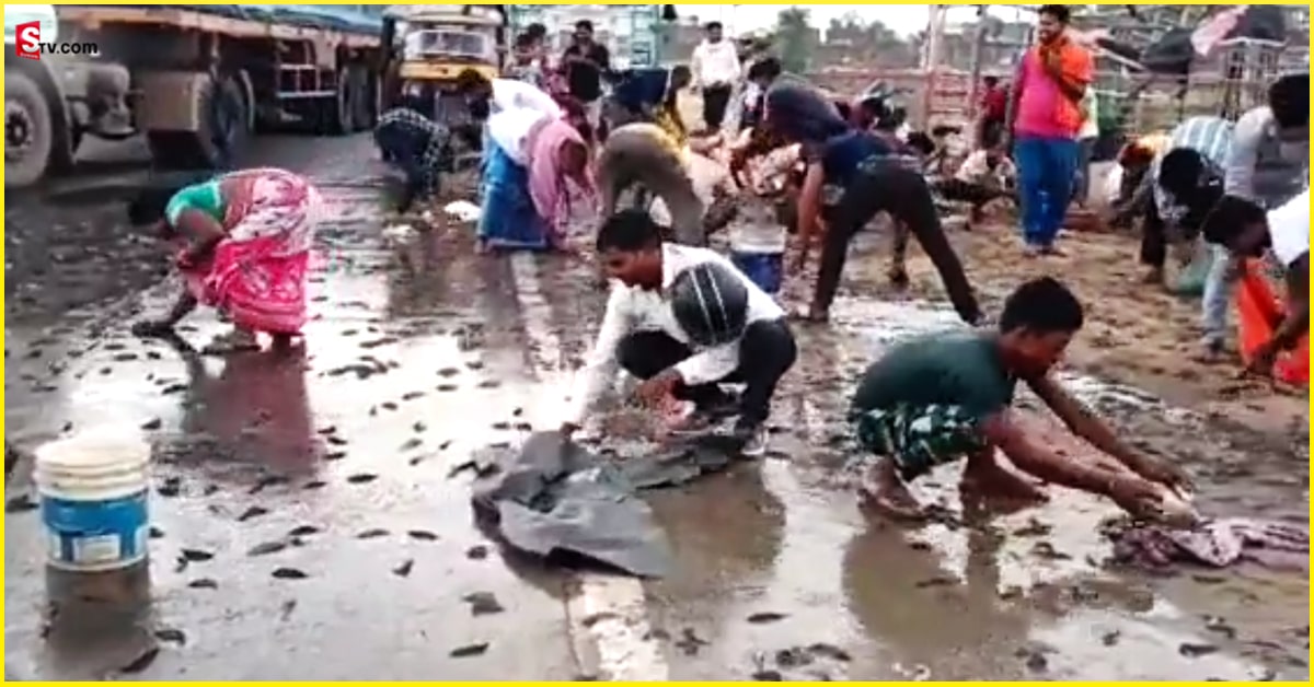 Viral Video: వైరల్‌ వీడియో: ఉన్నట్టుండి నడి రోడ్డుపై చేపల వర్షం.. ఎగబడ్డ జనం..