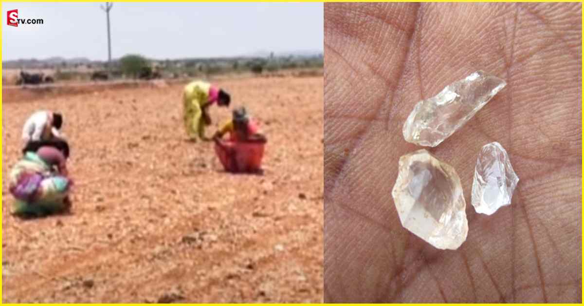 Diamonds: కర్నూల్ జిల్లాలో మొదలైన వజ్రాల వేట.. పొలాల్లో పెరుగుతున్న రద్దీ!