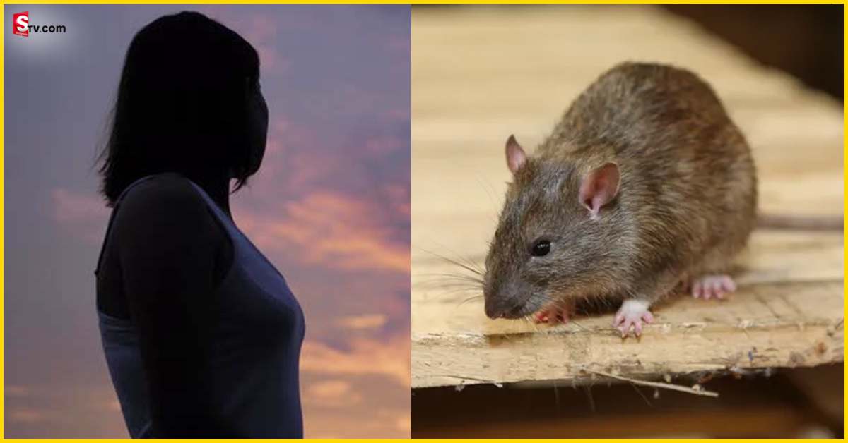 Rat: నిద్రపోతున్న మహిళ ముఖాన్ని కొరికి తిన్న ఎలుక!