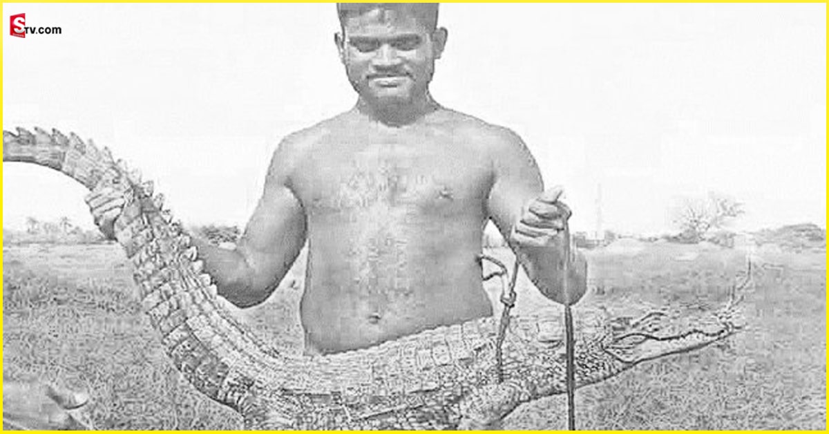 Crocodile:  చేపల కోసం వలేస్తే.. మొసలి పడింది! దాన్ని ఏం చేశారంటే..