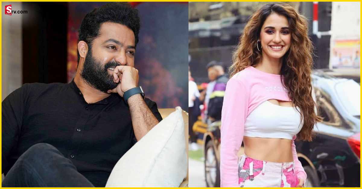 Disha Patani: Jr.NTRతో రొమాన్స్ చేయనున్న బాలీవుడ్ హాట్ బ్యూటీ?