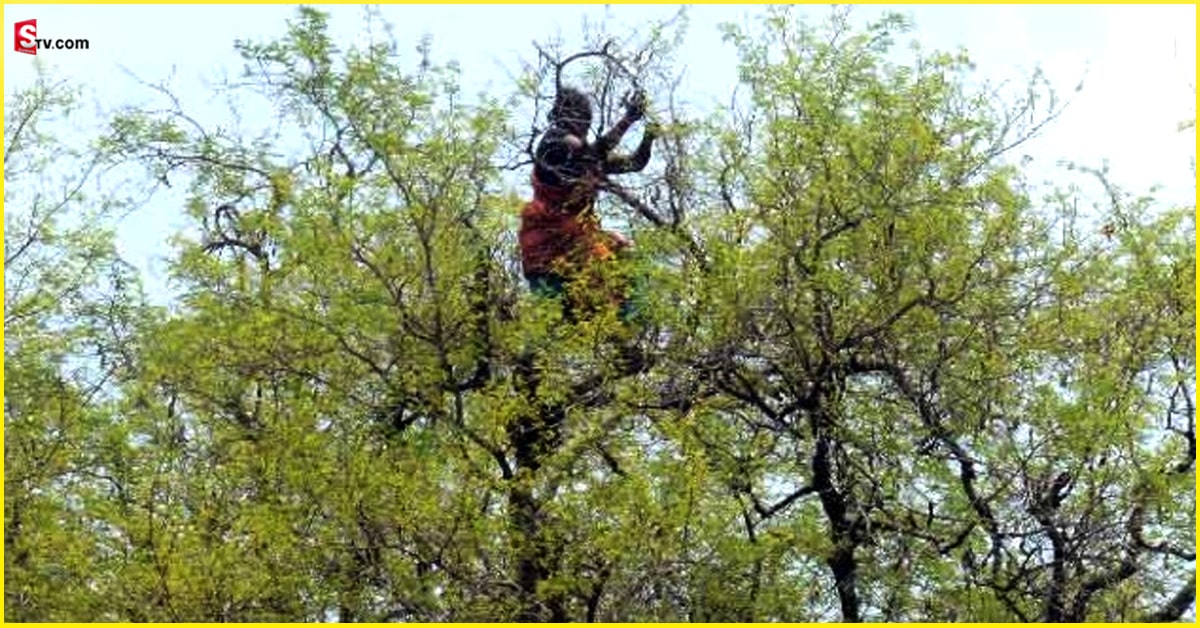 Mangalagiri: మహిళ సాహసం! అంత ఎత్తు ఎక్కడానికి కారణం?