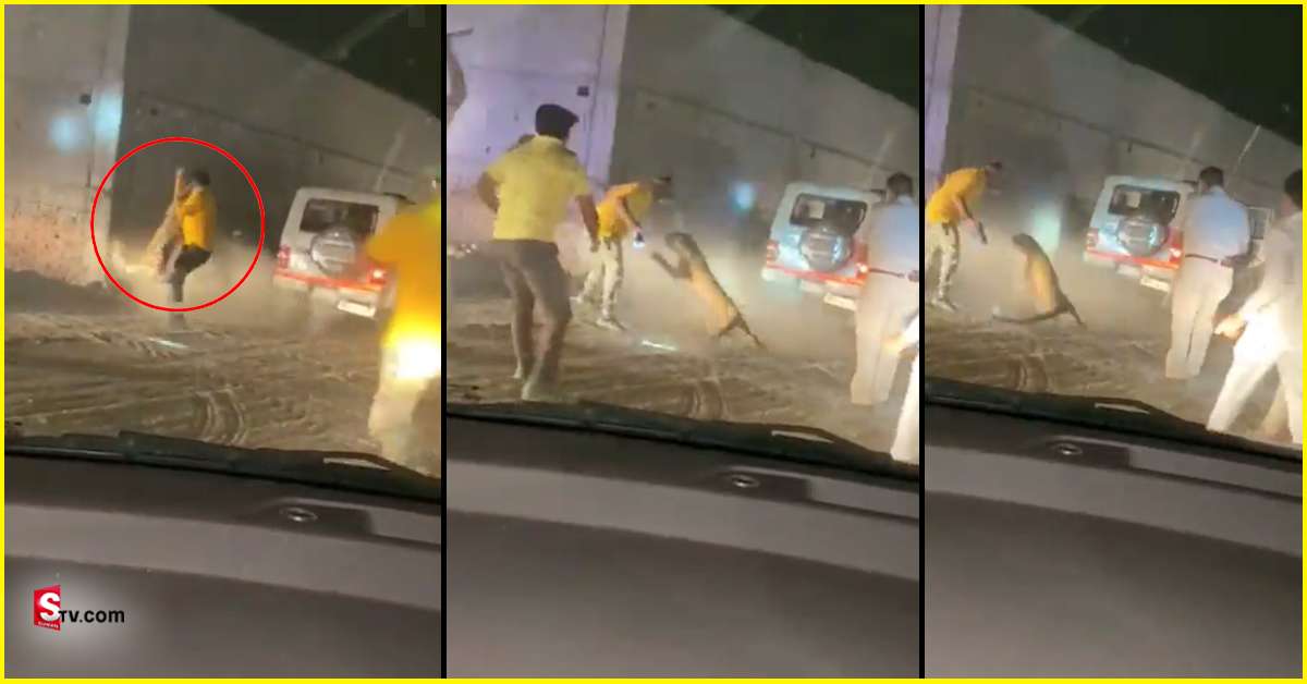 Viral Video: ఒళ్లు జలదరించే వీడియో: పోలీసులపై దాడి చేసిన చిరుత పులి..