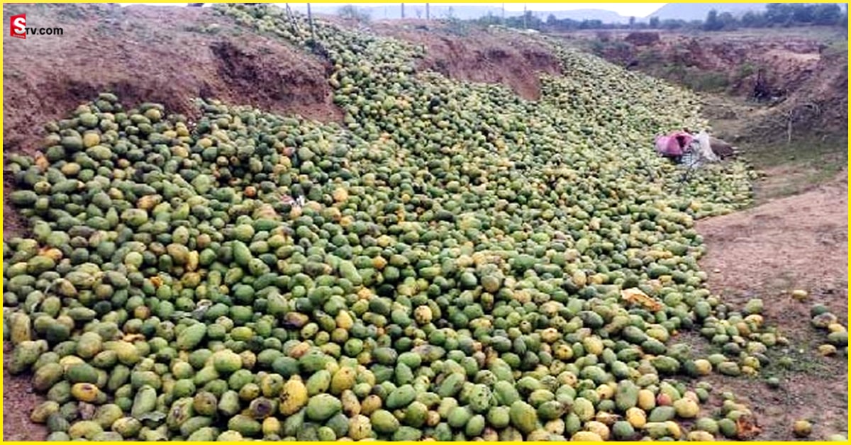Cyclone Asani: రైతులకు కన్నీటిని మిగిల్చిన అసని తుపాన్!