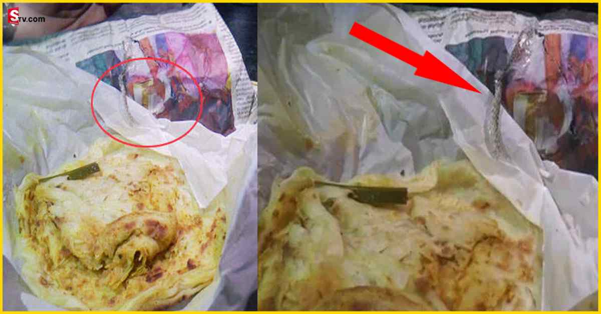 Snake Skin: హోటల్‌ నిర్వాకం.. పరోటా పార్శిల్‌లో పాము చర్మం..