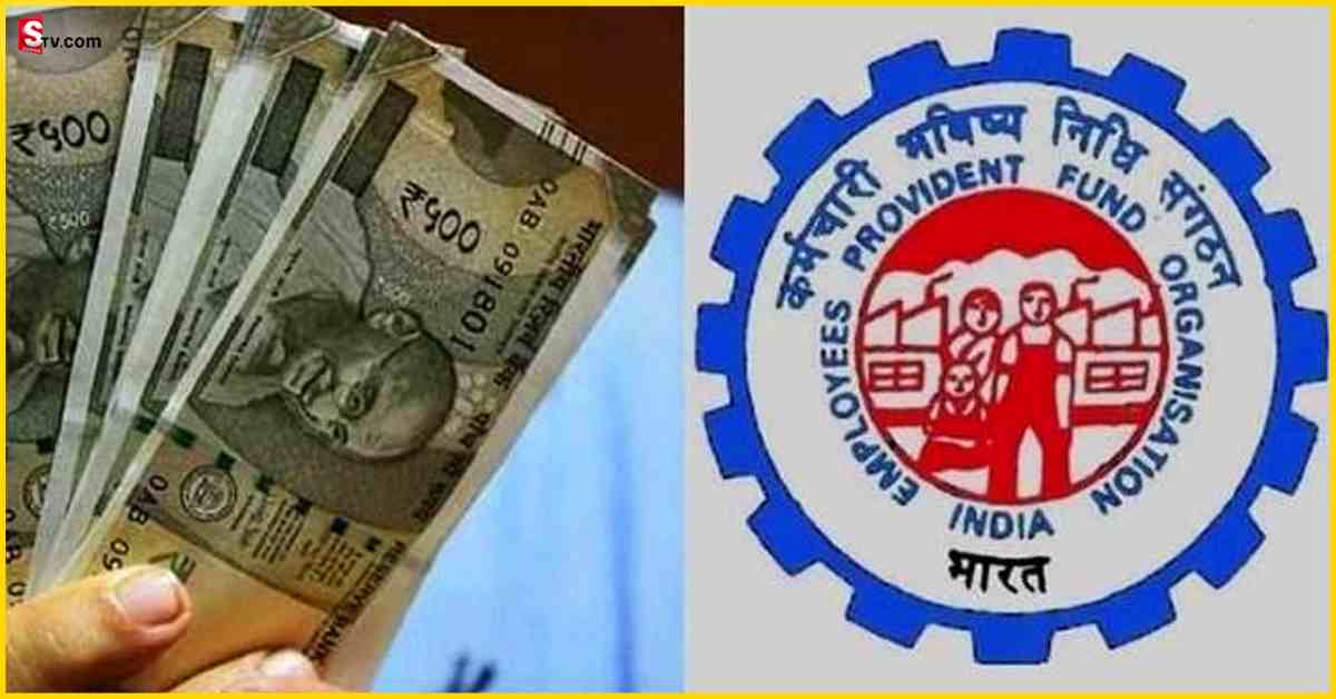 EPFO e-Nomination: EPFO ఈ-నామినేషన్ తప్పనిసరిగా చేయాలా? లేదంటే డబ్బులు రావా?