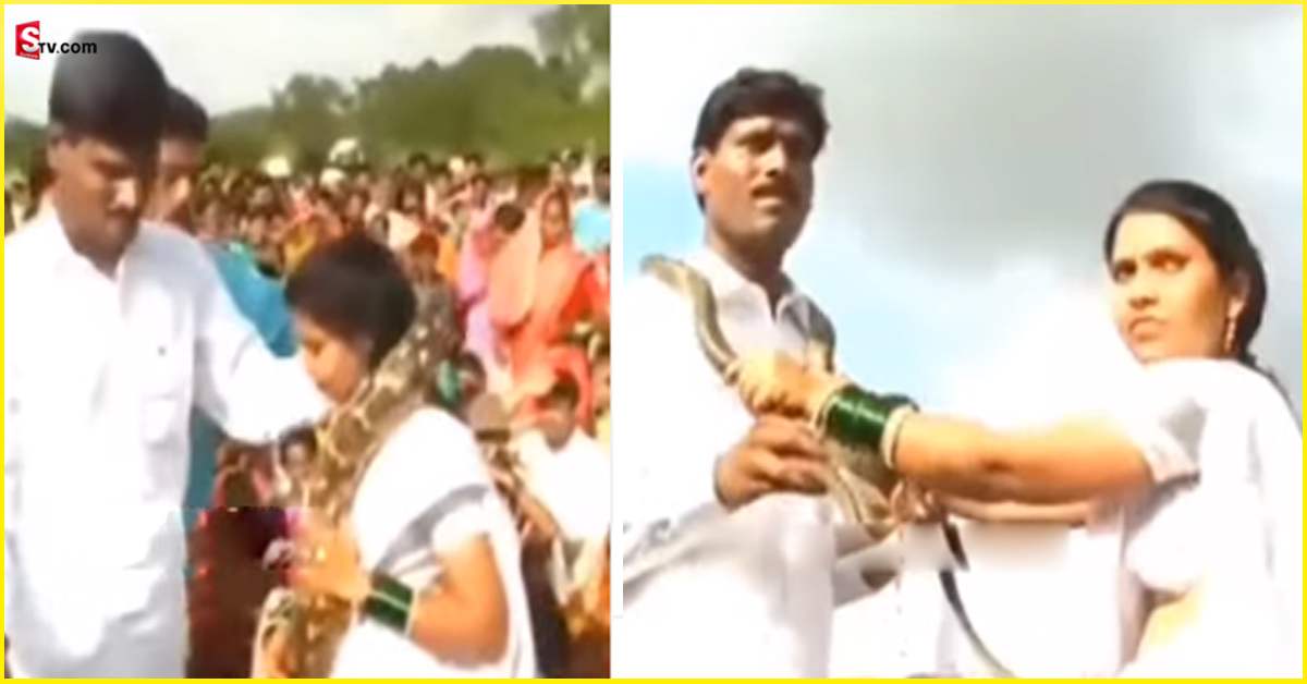 Viral Video: వీడియో: మీ ధైర్యానికి హ్యాట్సాఫ్‌.. పెళ్లి మండపంలో పాములను పూల దండల్లా వేసుకున్న జంట..!