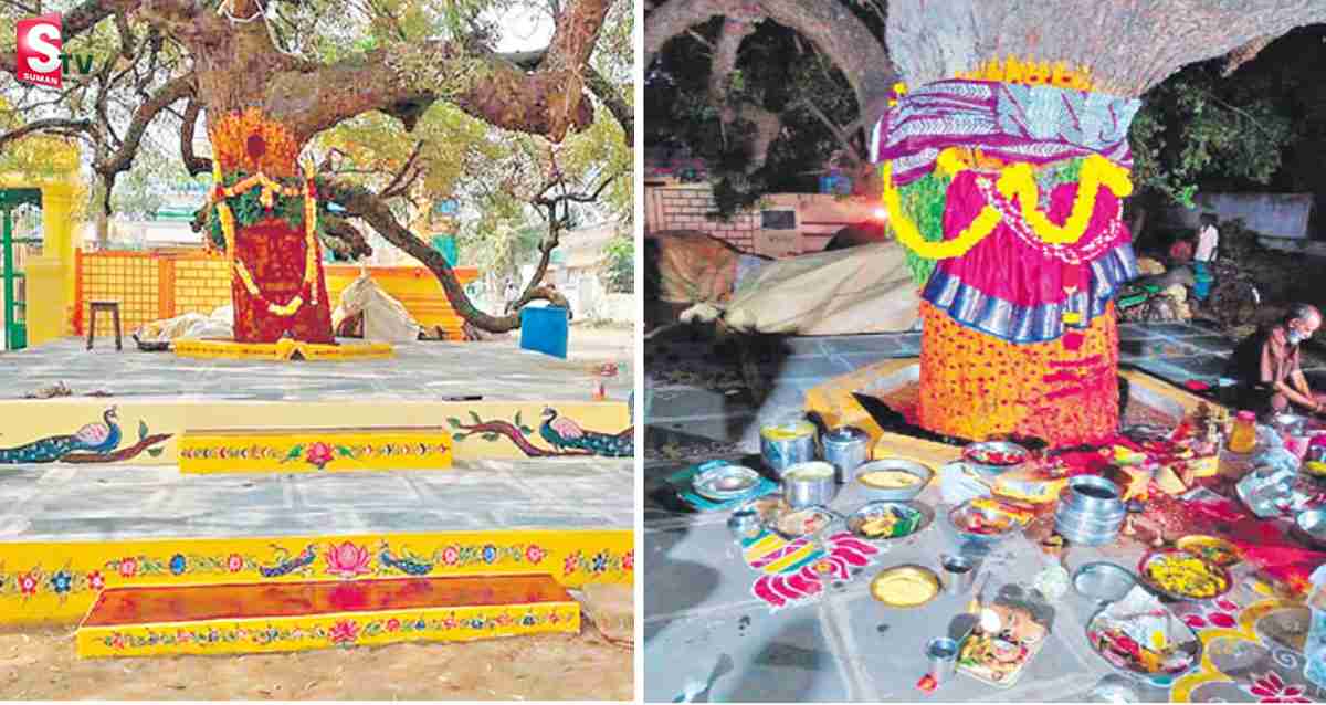 Neem Tree: వందేళ్లు పూర్తి చేసుకున్న వేపచెట్టు.. గ్రాండ్ గా పుట్టినరోజు వేడకలు!
