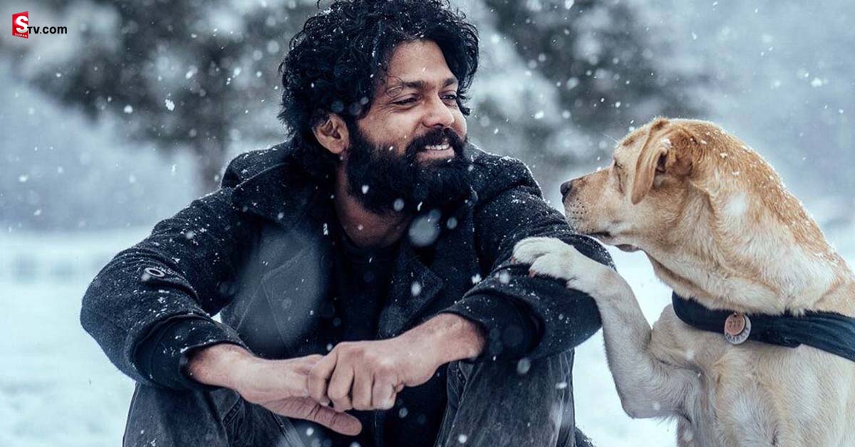 Dog: 777 చార్లీ సినిమాలో నటించిన డాగ్ బ్రీడ్ పూర్తి వివరాలు!