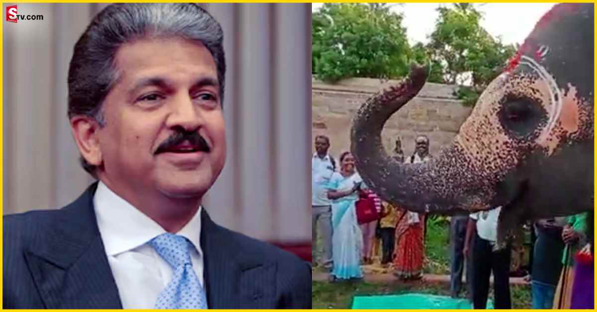 ఆలయంలో ఘనంగా ఏనుగు పుట్టిన రోజు వేడుక! వీడియోను షేర్ చేసిన ఆనంద్ మహీంద్రా..