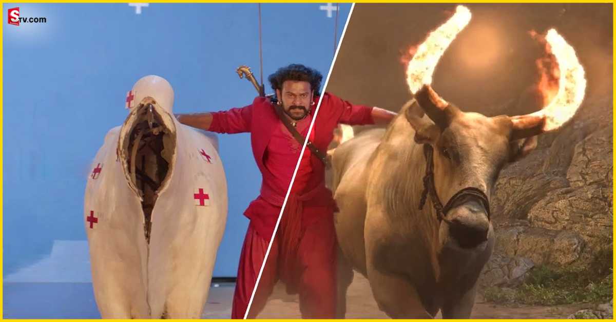 Bahubali 2: బాహుబలి-2 మేకింగ్ వీడియో వైరల్! ఆ సీన్ లో ఎద్దులు లేవా..?