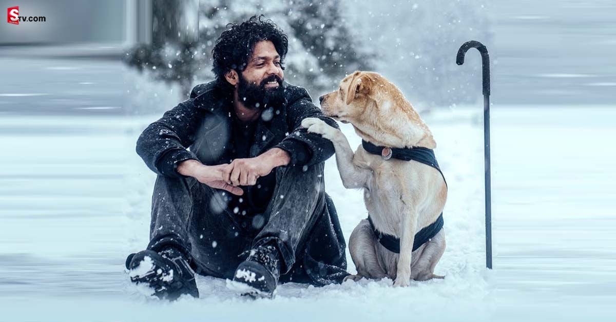 777 Charlie OTT Release: ప్రముఖ ఓటిటి సంస్థకు ‘777 చార్లీ’ డిజిటల్ హక్కులు.. రిలీజ్ ఎప్పుడంటే?
