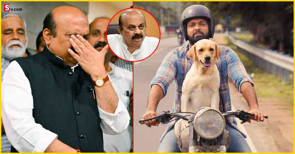 Karnataka CM: చార్లీ సినిమా చూసి ఏడ్చేసిన కర్ణాటక సీఎం.. వీడియో వైరల్!