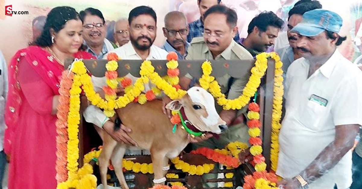 Baby Cow: అదిరేలా ఆవు దూడకు బారసాల! ఎక్కడంటే..