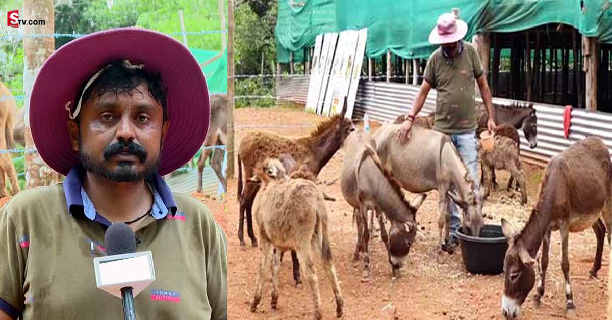 Karnataka: సాప్ట్ వేర్ జాబ్ వద్దనుకుని గాడిదలను పెంచుకున్నాడు.. ఇప్పుడు లక్షల్లో సంపాదిస్తున్నాడు!