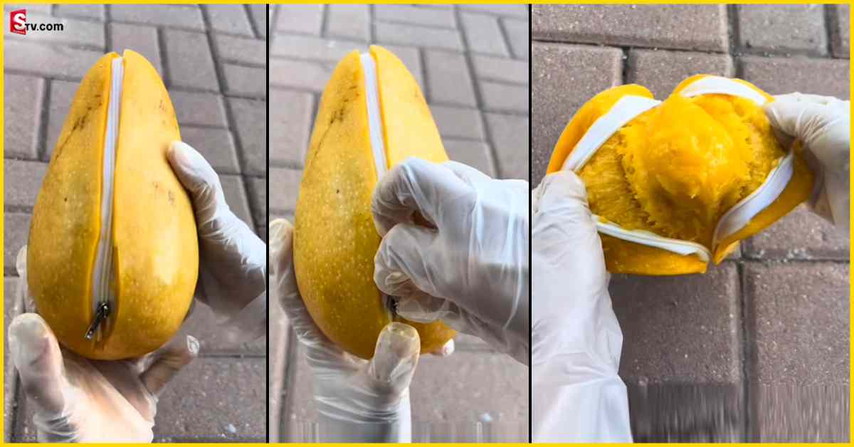 Mango: వీడియో: వారెవ్వా ఏమి ఐడియా గురూ! మామిడి పండుకు జిప్..
