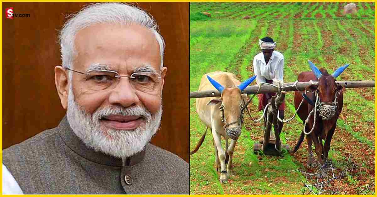 MSP: రైతులకు శుభవార్త.. కనీస మద్దతు ధర పెంచిన కేంద్రం!
