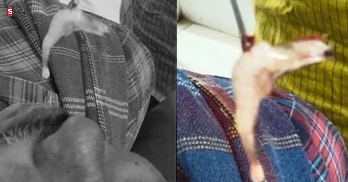 West Godavari district: చెట్టంత మనిషికి చెమటలు పట్టించిన రొయ్య.. ఏం జరిగిందంటే?