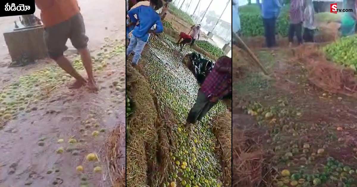 వాగులా మారిన బాటసింగారం పండ్ల మార్కెట్.. నీటిలో కొట్టుకుపోయిన పండ్లు!