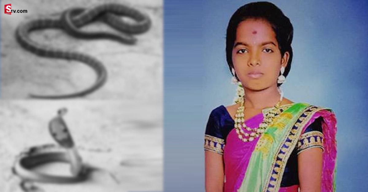 విద్యార్ధినిని ఒకే సారి కాటేసిన రెండు పాములు! చివరికి ఏమైందటే..