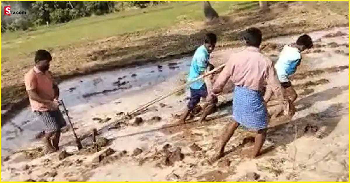 Chittoor: రైతన్నకు ఎంత కష్టం వచ్చింది.. కుమారులనే కాడెద్దులుగా మార్చి!