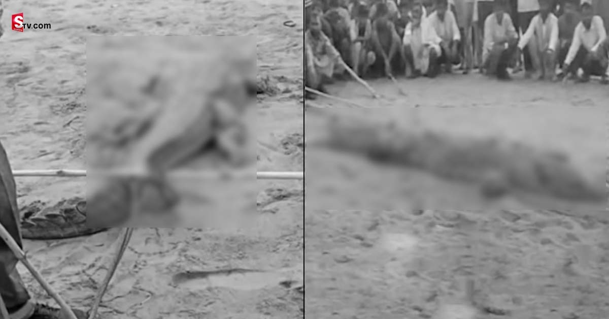వీడియో: బాలుడ్ని మింగేసిన మొసలి.. కట్టేసి కాపలా కాసిన గ్రామస్తులు.. ఎందుకంటే..