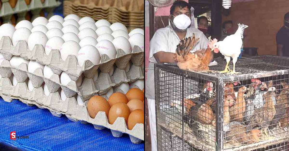 భారీగా పడిపోయిన  చికెన్, గుడ్డు ధరలు! ఎంతంటే..