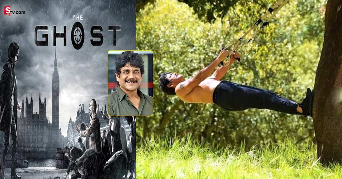The Ghost: ఘోస్ట్ సినిమా కోసం నాగార్జున కమిట్‌మెంట్‌! 62 ఏళ్ళ వయసులో ఇలా..!