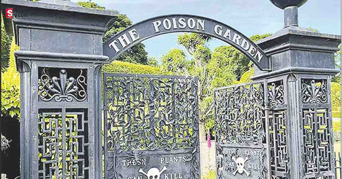 World’s Deadliest Garden: ఆ పార్కులోకి వెళ్తున్నారా? అయితే..  మీ ప్రాణాలు  జాగ్రత్త!