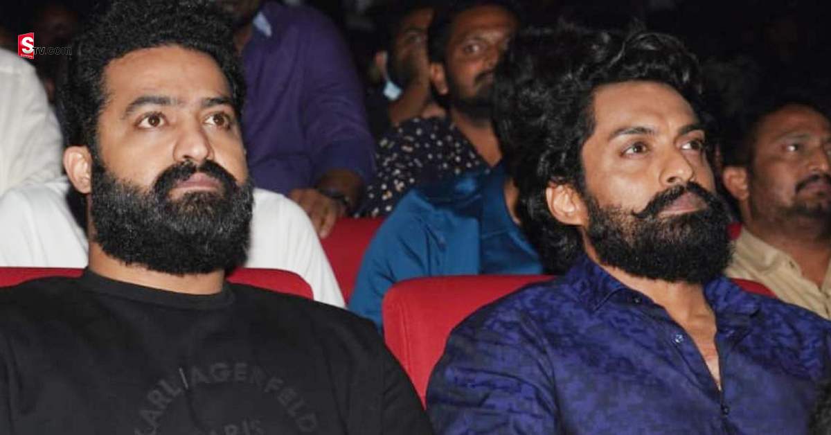బింబిసార సూపర్ హిట్. కానీ.. Jr.ఎన్టీఆర్ ని ఎందుకు తిడుతున్నారు?