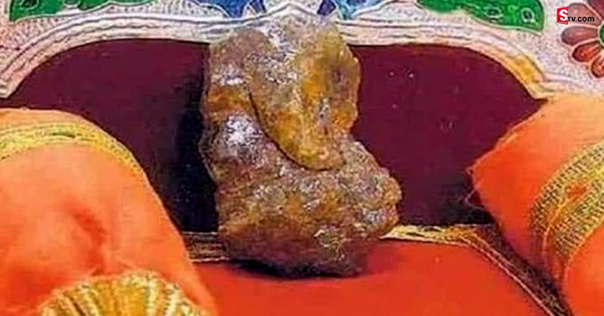 ప్రపంచంలోనే అత్యంత విలువైన వజ్ర విఘ్నేశ్వరుడు! ఒక్కరోజే దర్శన భాగ్యం