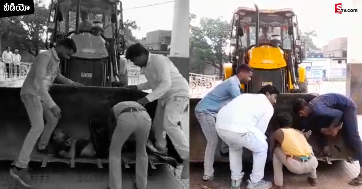 Viral Video: వీడియో: ప్రాణాలు నిలబెట్టడానికి ఆంబులెన్స్ లా మారిన బుల్‌డోజర్!
