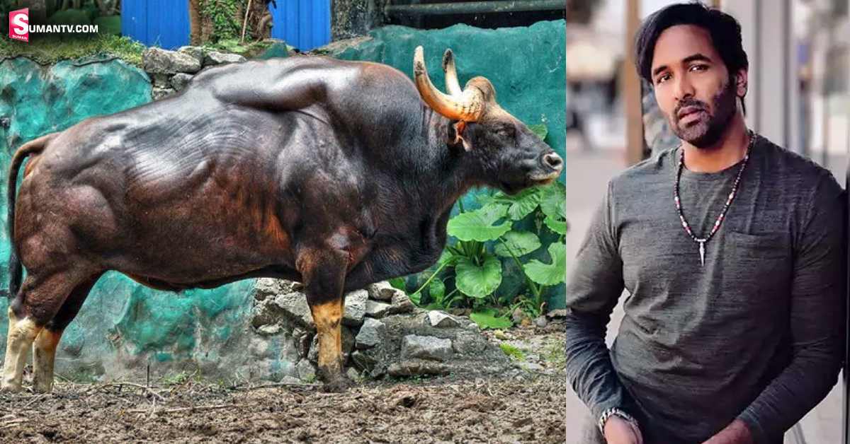 Manchu Vishnu: తనని తాను దున్నతో పోల్చుకున్న మంచు విష్ణు! ఫోటో వైరల్!